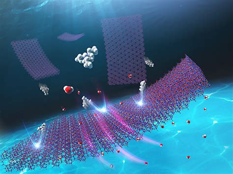 ナース 二 次元|共同発表：2種類の細孔を持つ有機結晶材料の開発～右手分子と .